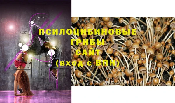 ГАЛЛЮЦИНОГЕННЫЕ ГРИБЫ Володарск