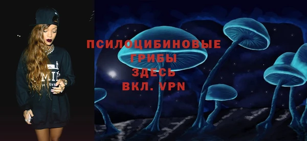 ГАЛЛЮЦИНОГЕННЫЕ ГРИБЫ Володарск