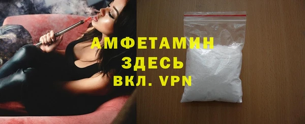 дмт Сатка