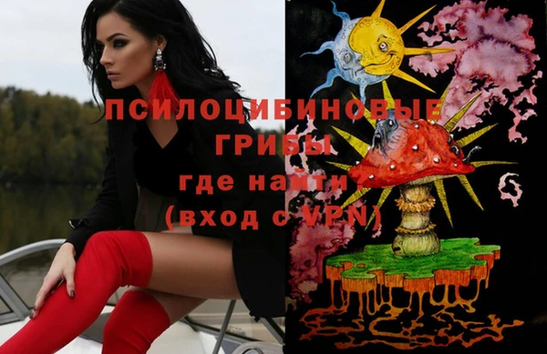 ГАЛЛЮЦИНОГЕННЫЕ ГРИБЫ Володарск