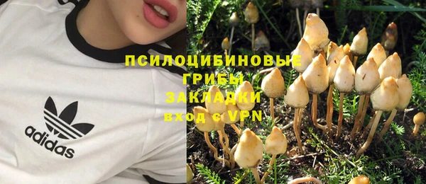 молекула духа Волосово