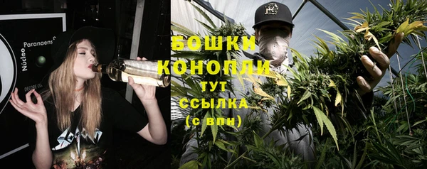 дмт Сатка
