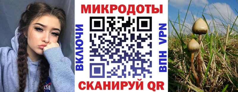 Галлюциногенные грибы мицелий Лиски