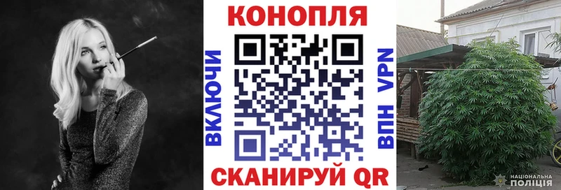 купить Лиски Бошки Шишки OG Kush